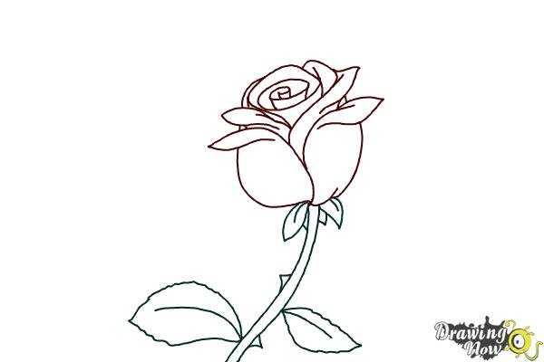 Сказка о жабе и Розе раскраска