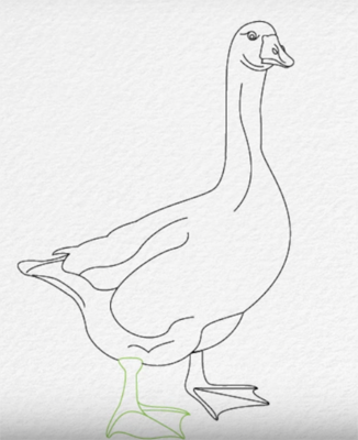 Рисование гуся