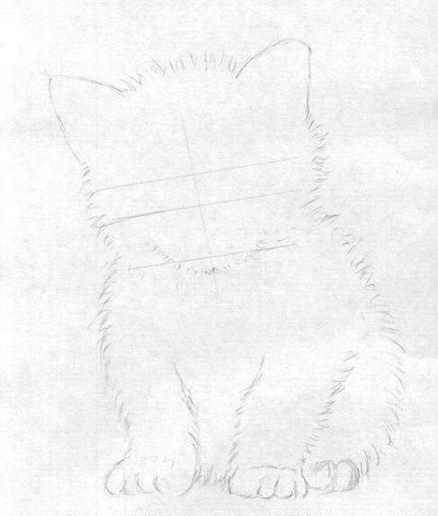 Маленький котенок карандашом