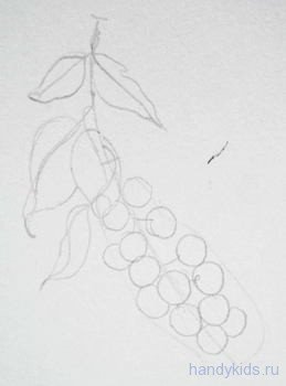 Черёмуха рисунок карандашом