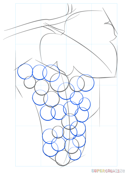 Поэтапное рисование винограда