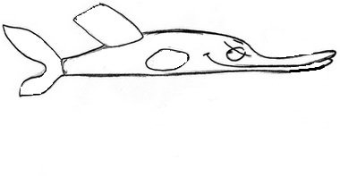 Щука обыкновенная строение