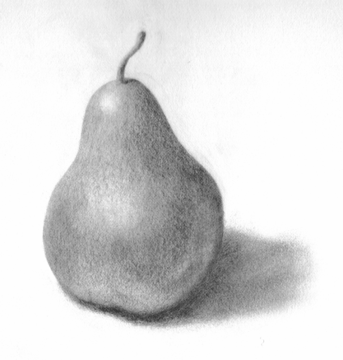 Груша натюрморт карандашом