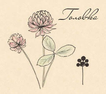 Клевер стилизация