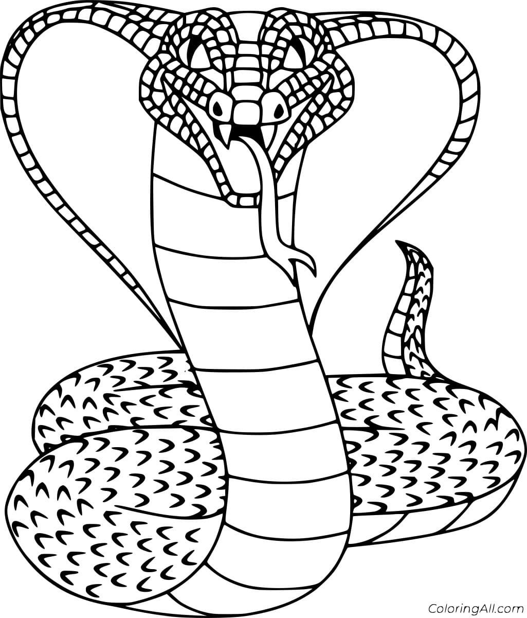 Раскраски со змеями