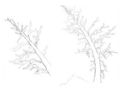 Рисунок к произведению метель Пушкин