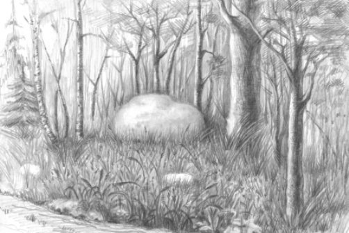 Лесная Поляна карандашом