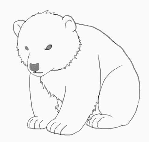 Медведь рисунок карандашом