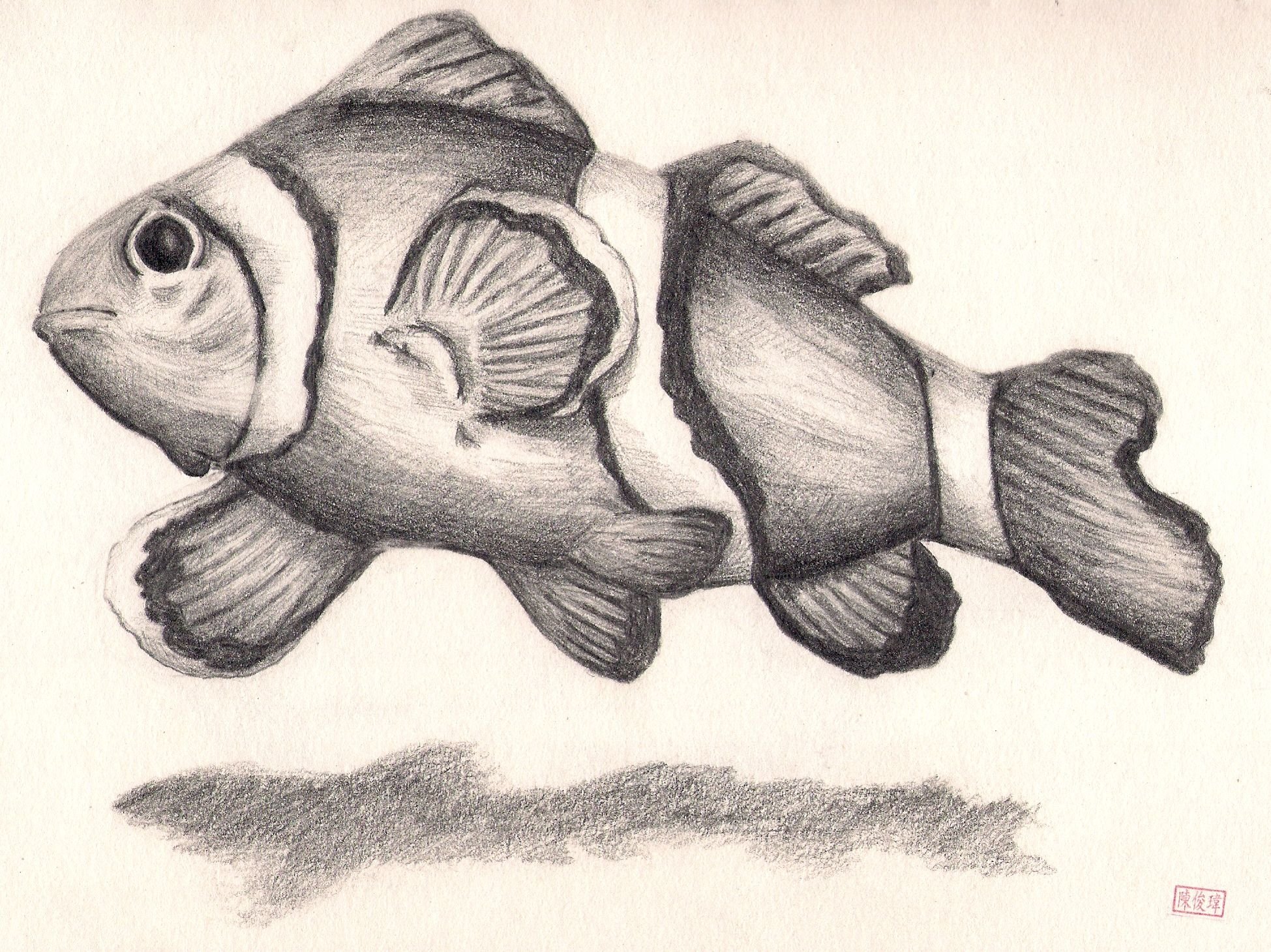 Рыбы карандашом для срисовки
