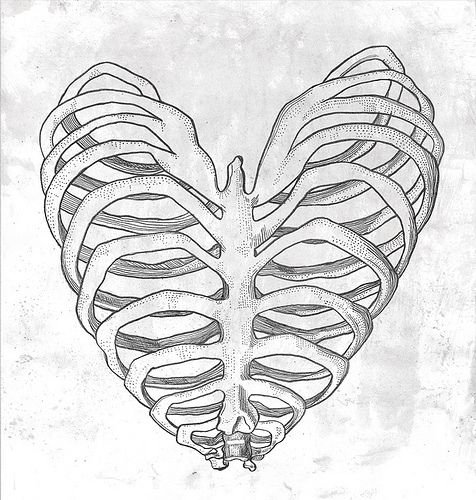 Грудная клетка карандашом