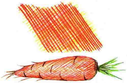 Штриховка морковь