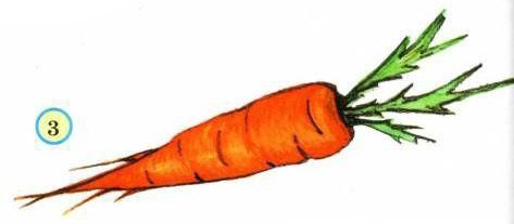 Уроки рисования для детей морковь