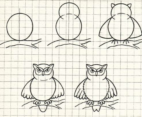 Поэтапное рисование Совы для детей