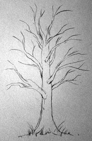 Рисунок осенних листьев карандашом