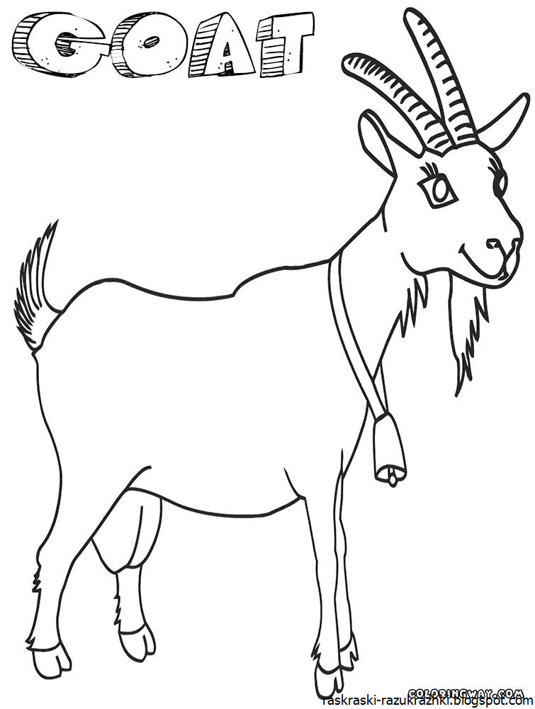Рисунок козленок карандашом. Коза раскраска для детей. Картинка раскраска коза. Козел раскраска для детей. Раскраска козлика для детей.