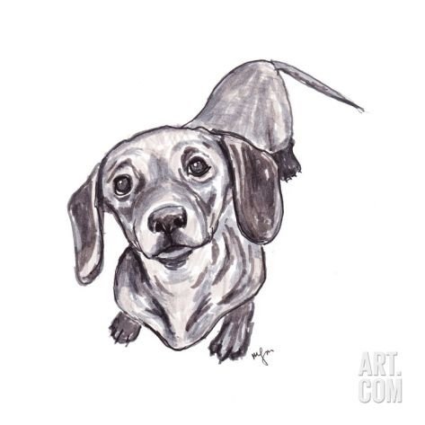 Такса рисунок