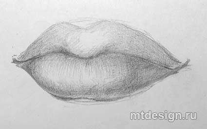 Рисунки с растушевкой лёгкие