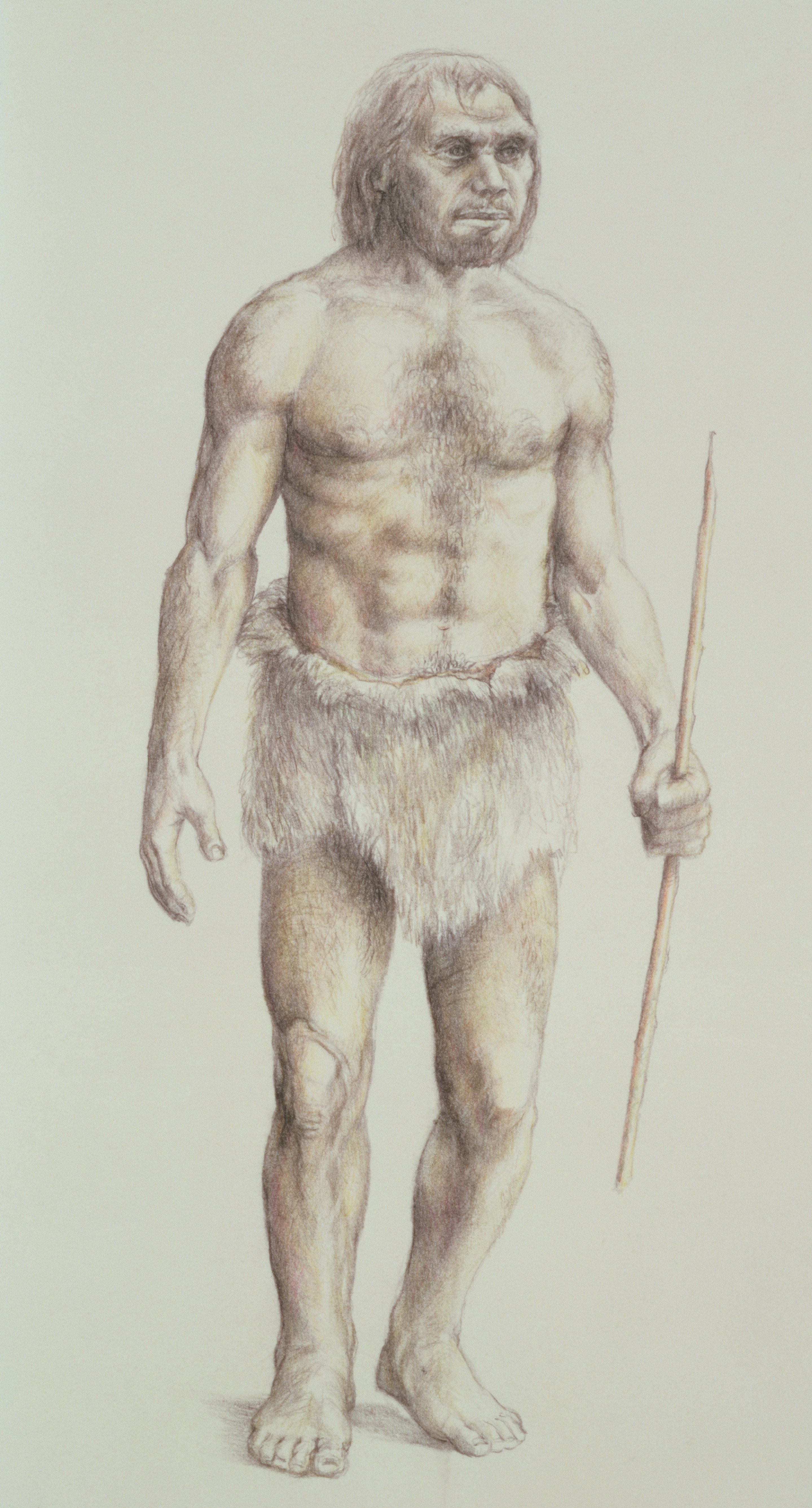 Неандерталец с копьем