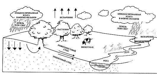 Круговорот воды в природе схема чб