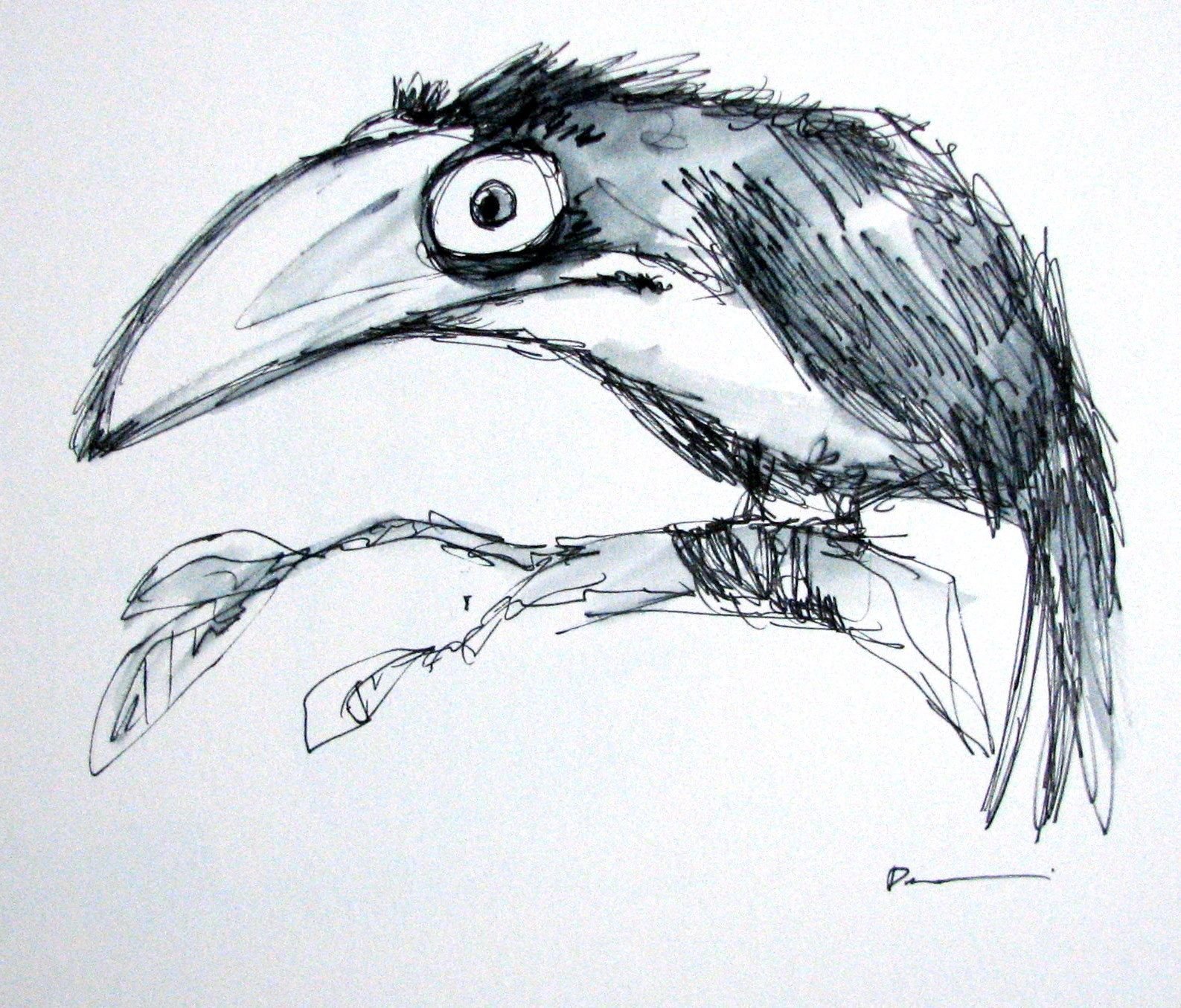 Ворона рисунок карандашом