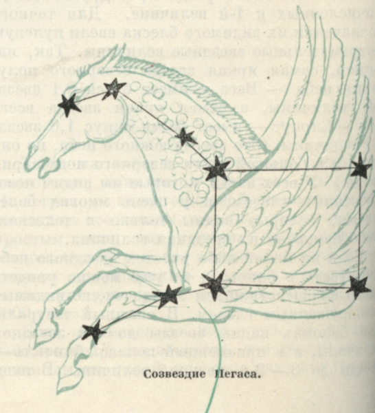 Созвездие Пегас и большая Медведица