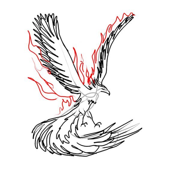 Птица Феникс рисунок карандашом