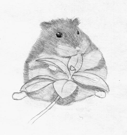 Милые раскраски