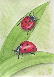 Рисование Божья коровка