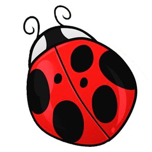 Божьи коровки