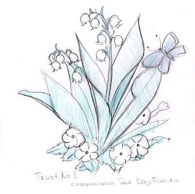 Ландыши рисунок карандашом для срисовки