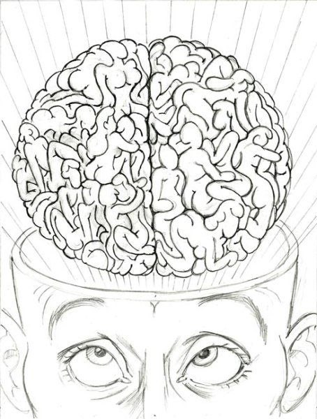 Мозг простым карандашом