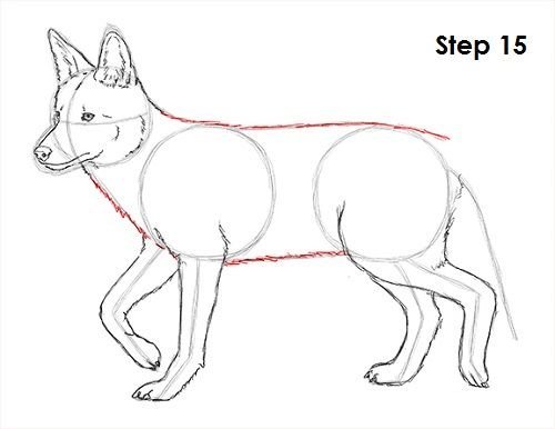 Волк рисунок карандашом для детей