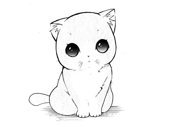 Милые котики рисунки для срисовки карандашом