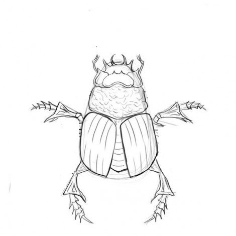 Нарисовать майского жука