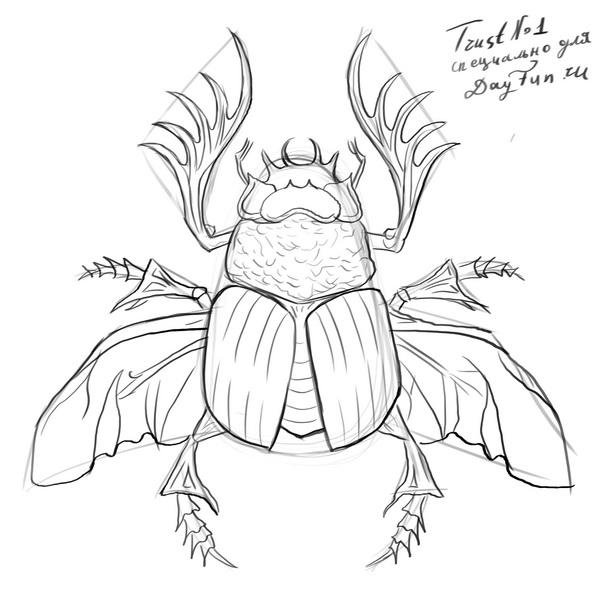 Поэтапное рисование жука