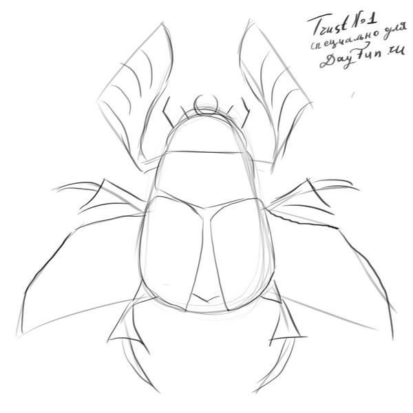 Жук скарабей раскраска для детей