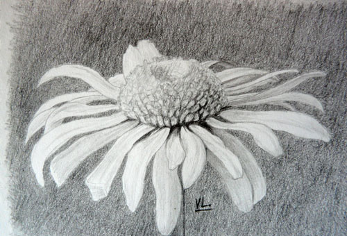 Ручка, карандаш линейка ластик раскраска для детей