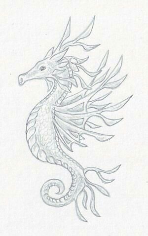 Изображение морского конька