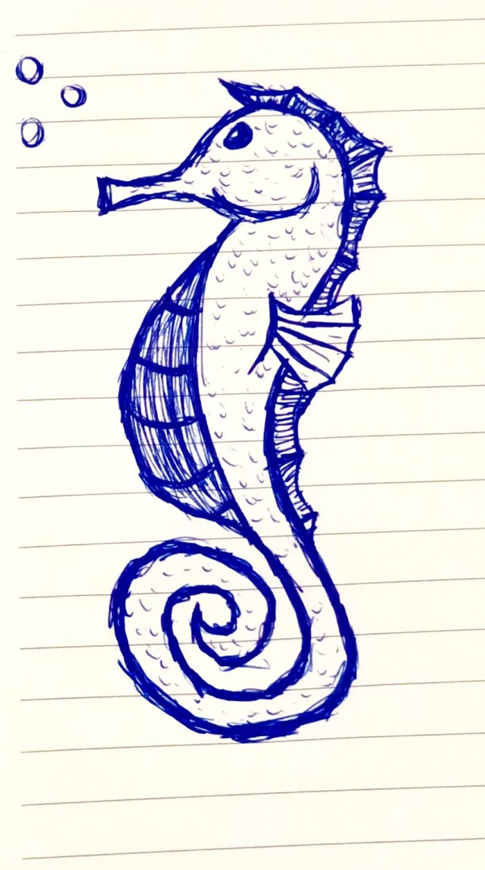 Поэтапное рисование морского конька