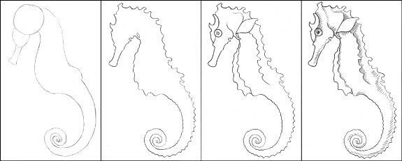 Изображение морского конька