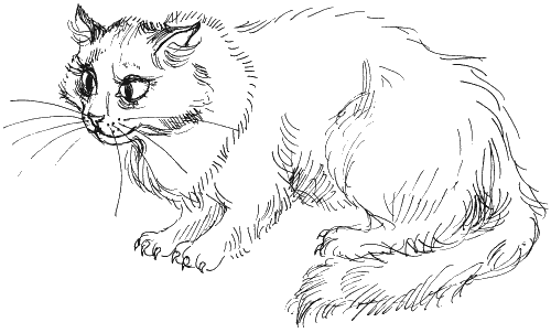 Раскраска к рассказу кот ворюга