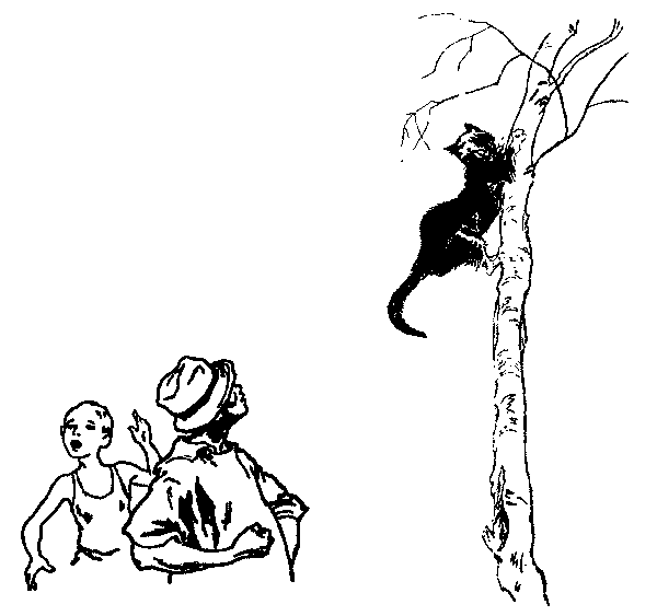 Агния Барто котенок