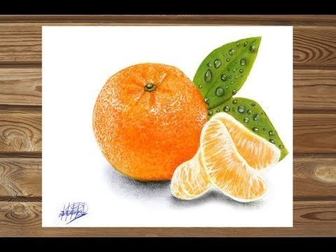 Апельсин для срисовки