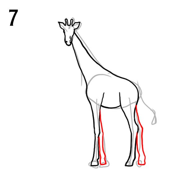 Жираф поэтапно для детей. Рисование жирафа. Рисуем жирафа. Легкое рисование жирафа. Поэтапное рисование жирафа для детей.