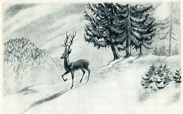 Бажов серебряное копытце раскраска