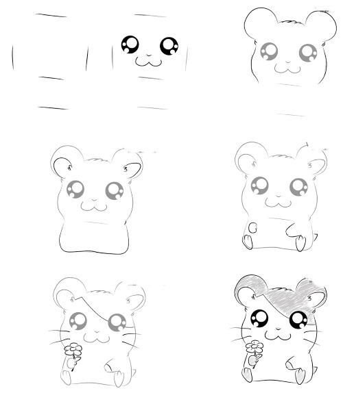 Поэтапный рисунок хомяка