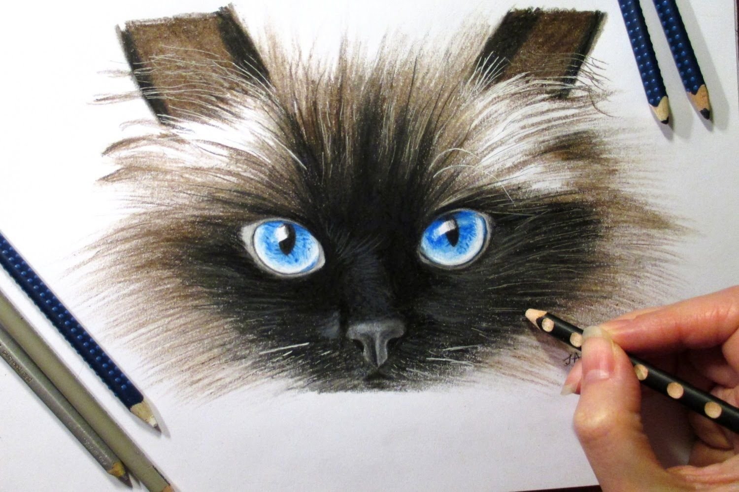 Интересные цветными карандашами. Кошка цветными карандашами. Рисунки котов. Красивые рисунки цветными карандашами. Рисование цветными карандашами реалистично.