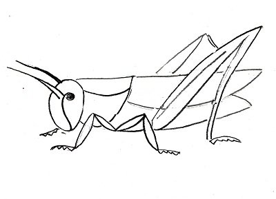 Кузнечик рисунок карандашом