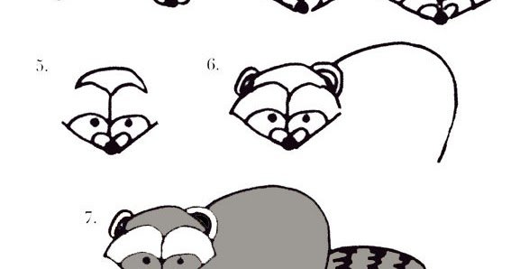 Енот рисунок карандашом для детей