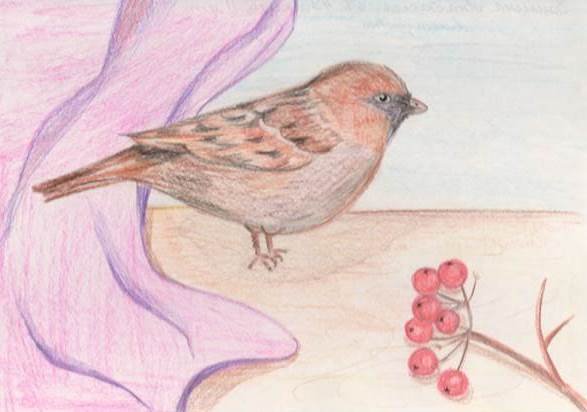 Иллюстрации к произведению Паустовского растрепанный Воробей